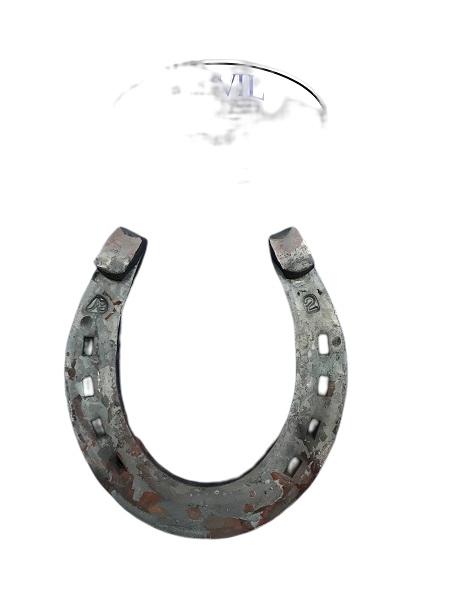 AB 1/2 x 1 Walking Horse Pleasure #2 Horseshoe - Anvil Brand