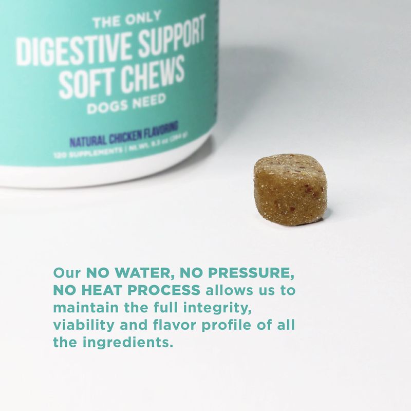 
                  
                    Natural Rapport Digestive Support Soft Chews
                  
                