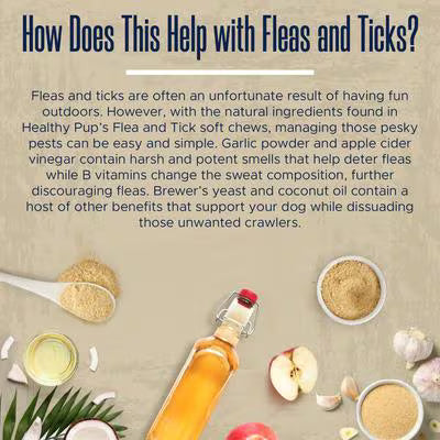 
                  
                    Healthy Pup Flea & Tick Soft Chews
                  
                