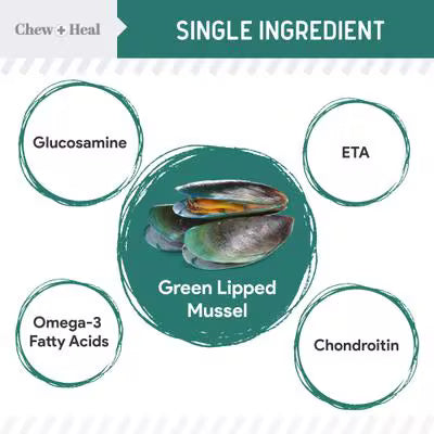 
                  
                    Chew & Heal Green Lipped Mussel Powder For Hip & Joint
                  
                